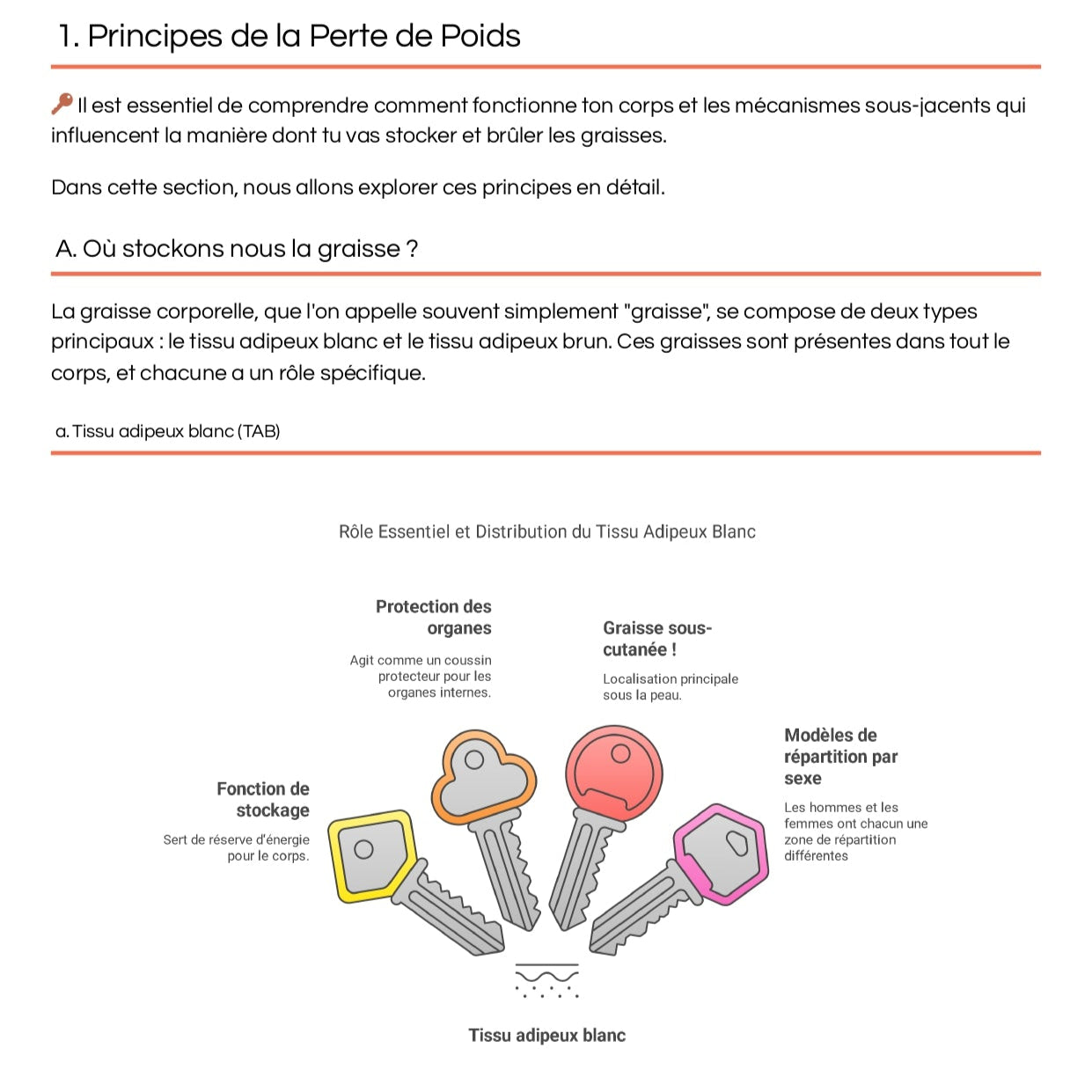 75 days challenge : 3 mois pour Brûler les Graisses et Affiner votre Silhouette !